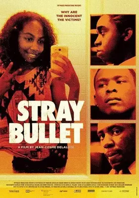 Stray Bullet