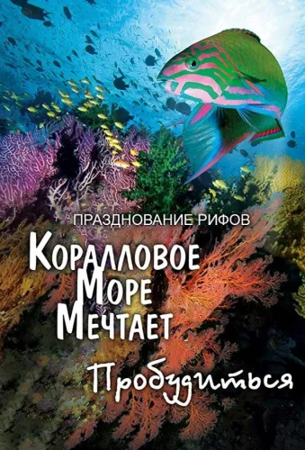 Грёзы Кораллового моря: Пробуждение 