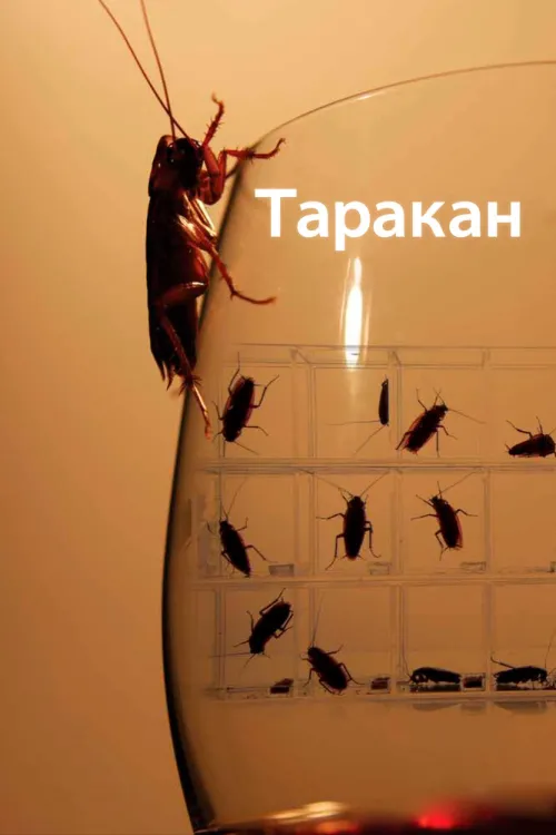 Таракан